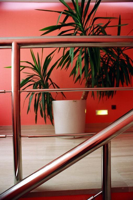 Sercotel San Jose アルバセテ インテリア 写真